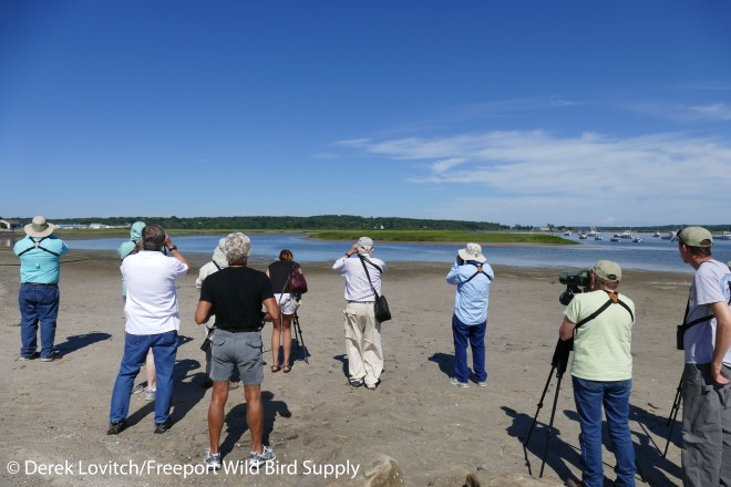 L1020999_group_at_marsh