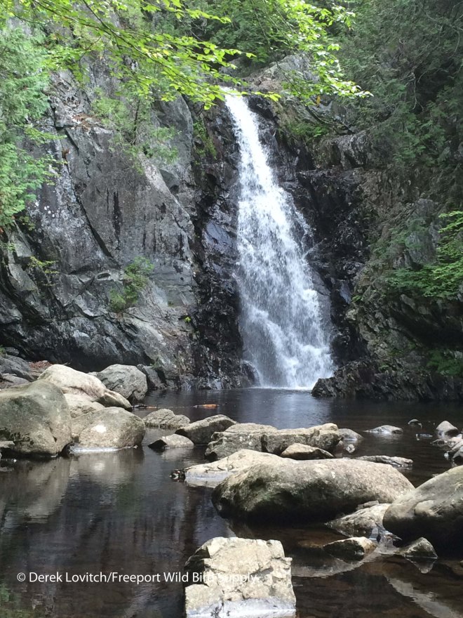 Poplar Falls_edited-1