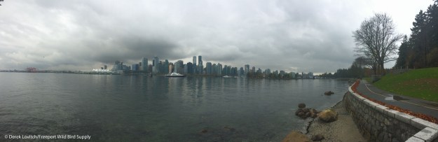 Day2-Stanley Park2