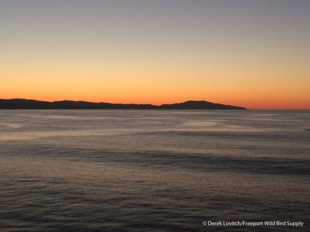 Day6-LeavingVictoria-sunset_edited-1