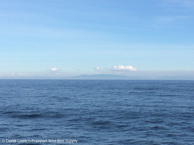 Day7-offOregonCoast_edited-1