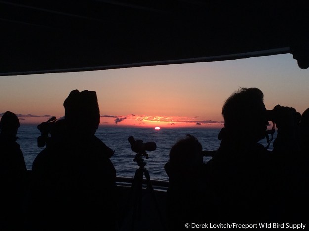 Day7-Sunset2_edited-1