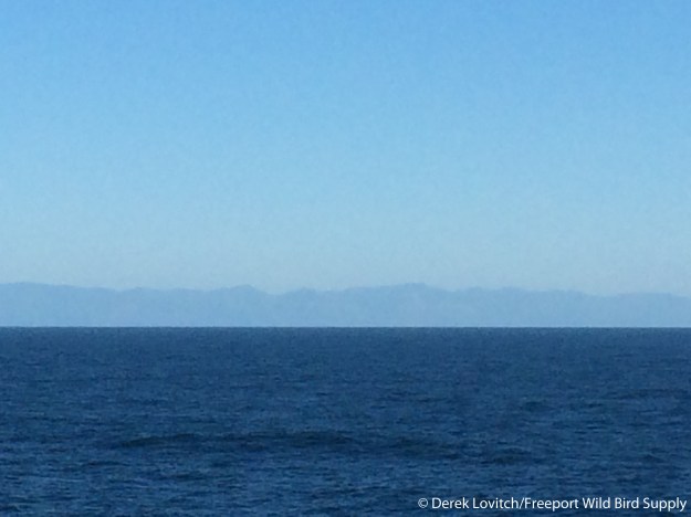 Day8-OffBigSur_edited-1