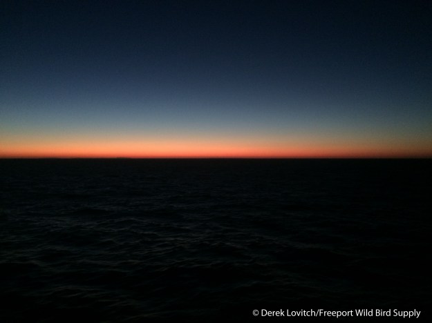 Day8-sunrise_edited-1