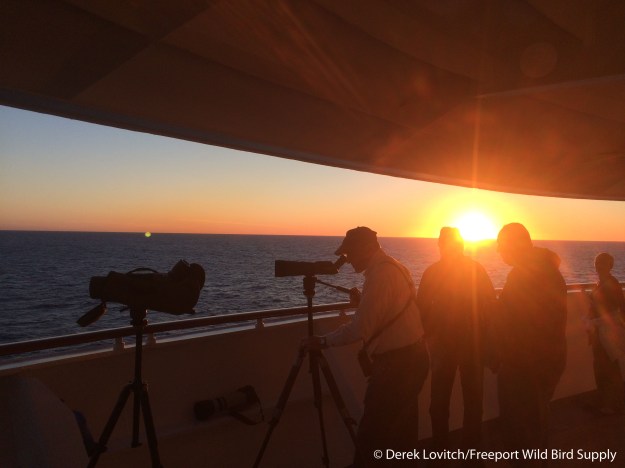 Day8-sunset_edited-1