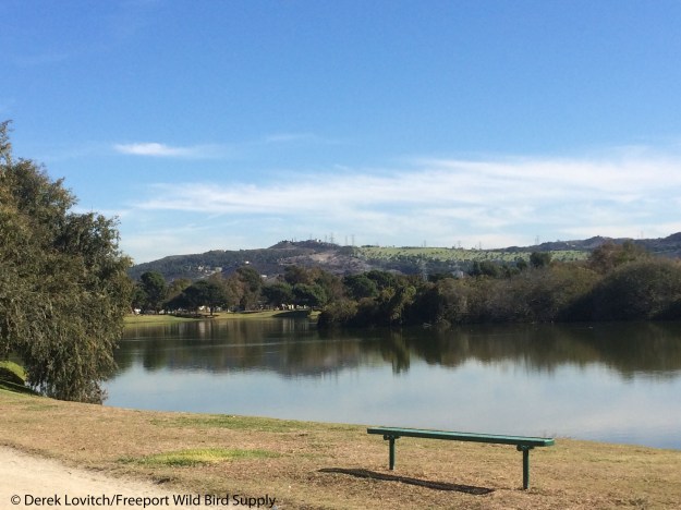 Day9-LeggLakePark,LA_edited-1