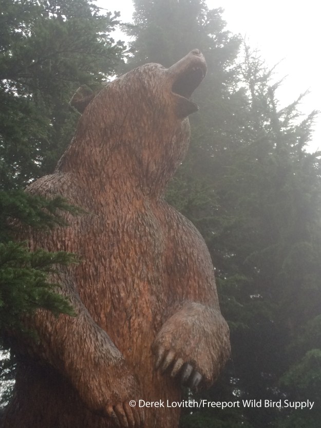 IMG_6678_Day4-GrouseMountain-bear-totem