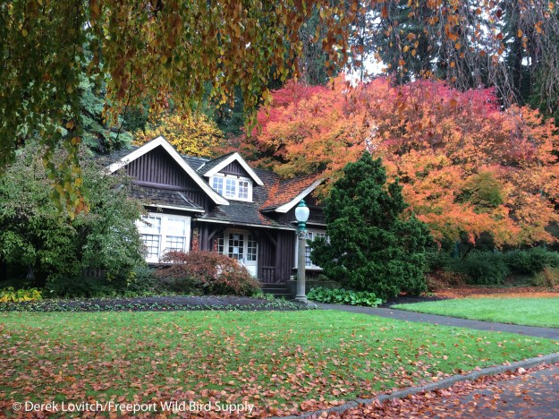 IMG_6683_Day5-StanleyPark1_edited-1