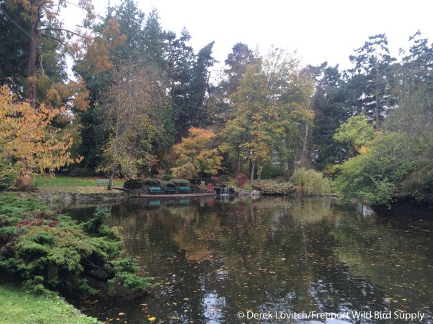 IMG_6698_Day6-Victoria-edited