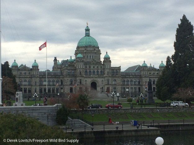 IMG_6701_Day6-Victoria-capitol