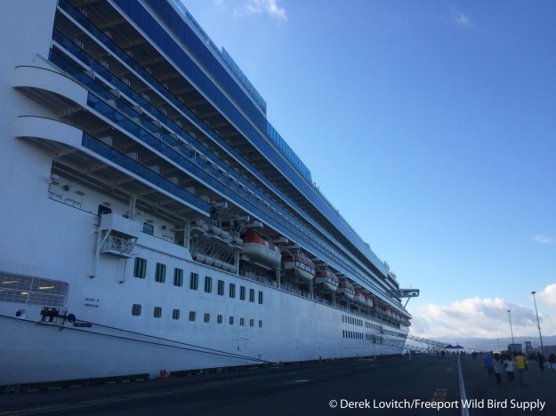 IMG_6724_Day6-Victoria-CruiseShip_edited-1