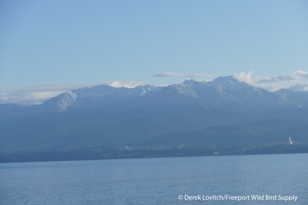 L1030727_Day6-LeavingVictoria-OlympicMountains1a_edited-1