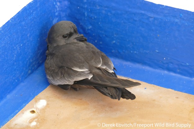 L1030856_Day8-ASSP1_edited-1