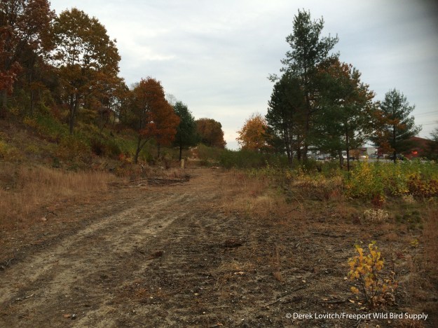 WestCommercialSt1,11-1-15