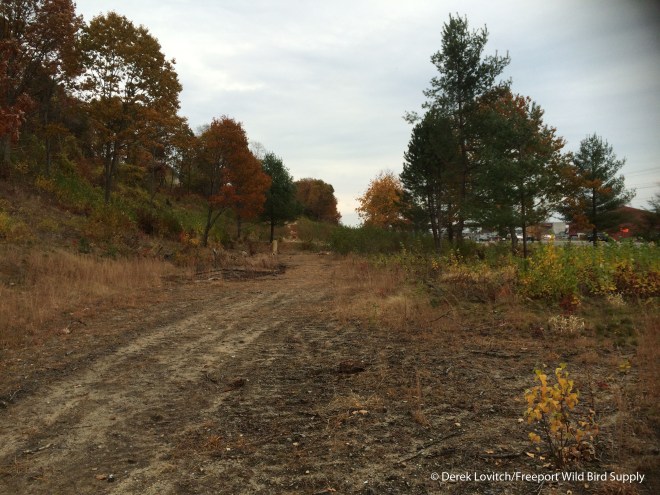 WestCommercialSt1,11-1-15