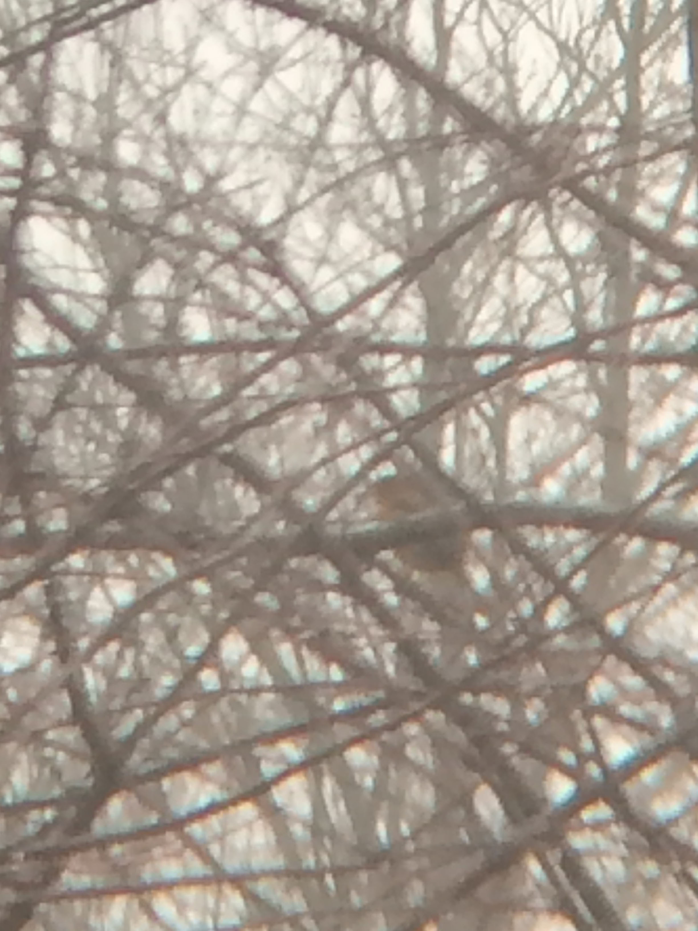 BAOR,HuckleberrySt,Wells,12-15-15