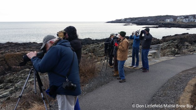 birders at Marginal Way