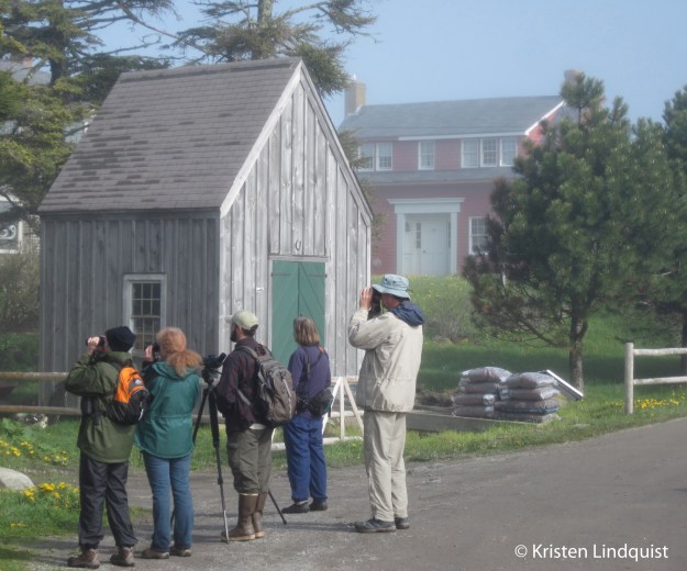 DereksGroup_edited-1