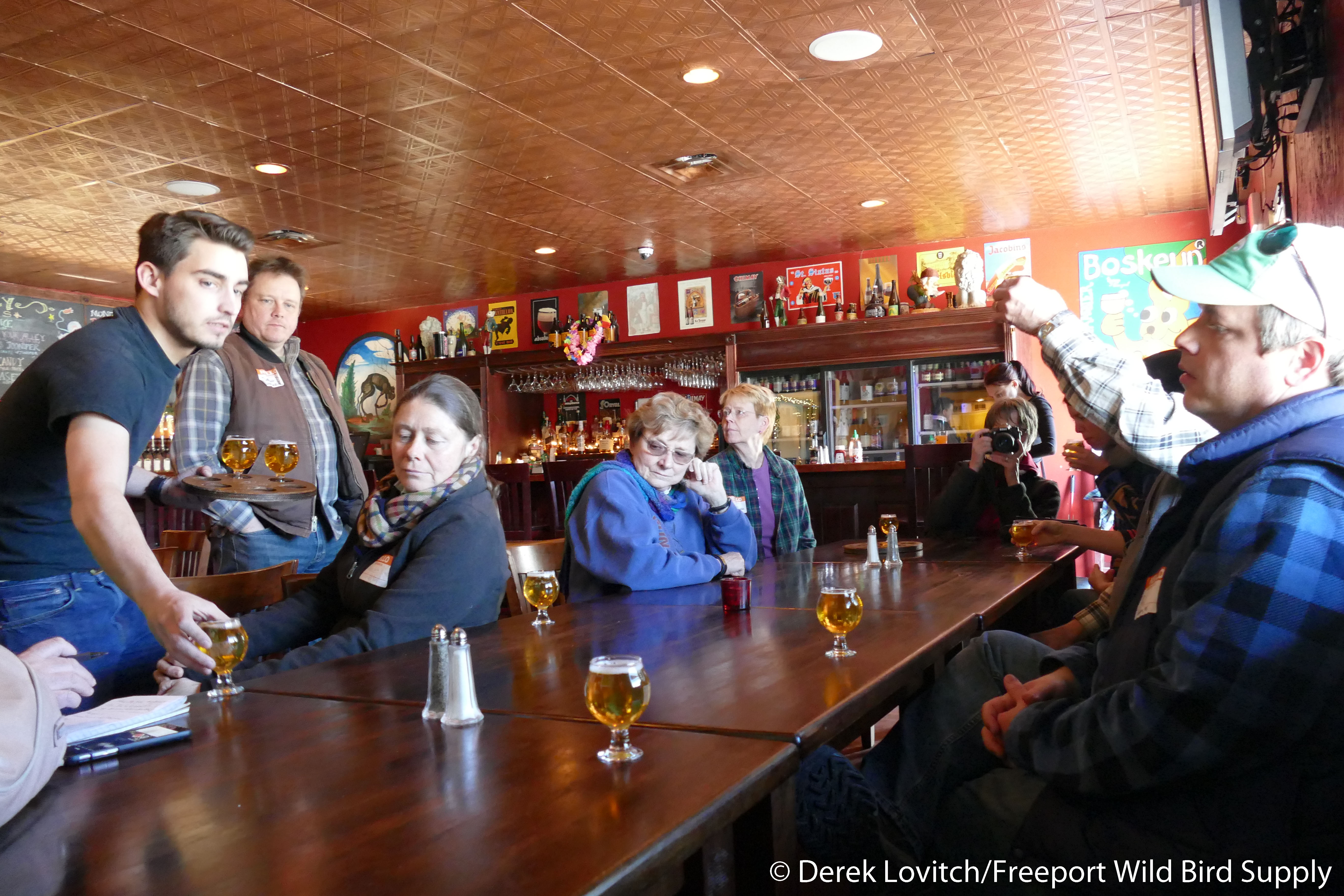 L1040567_Lively2_edited-1