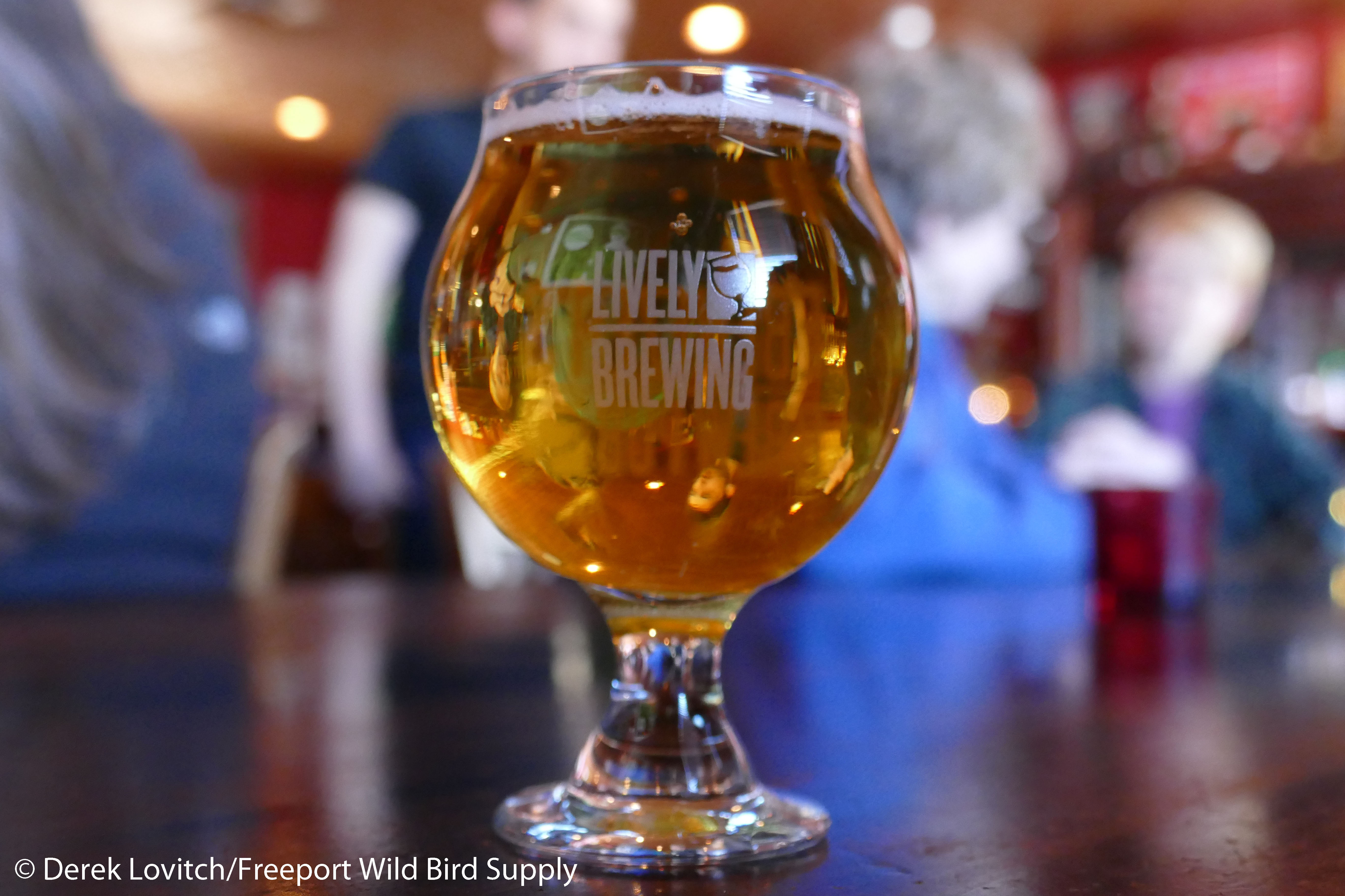 L1040569_Lively4_edited-1