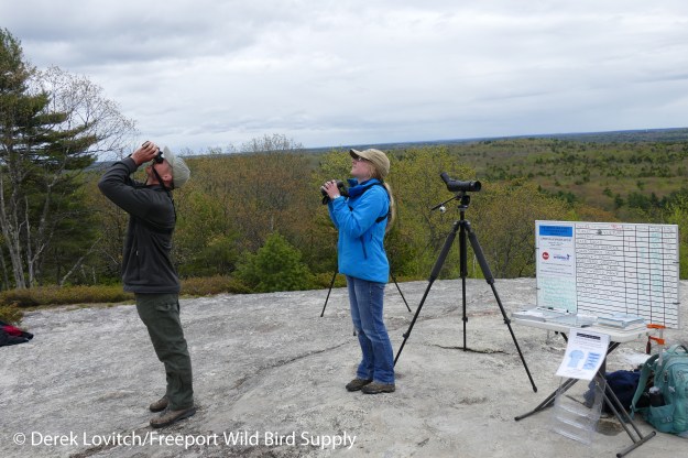 Hawkwatch_last_day_2016