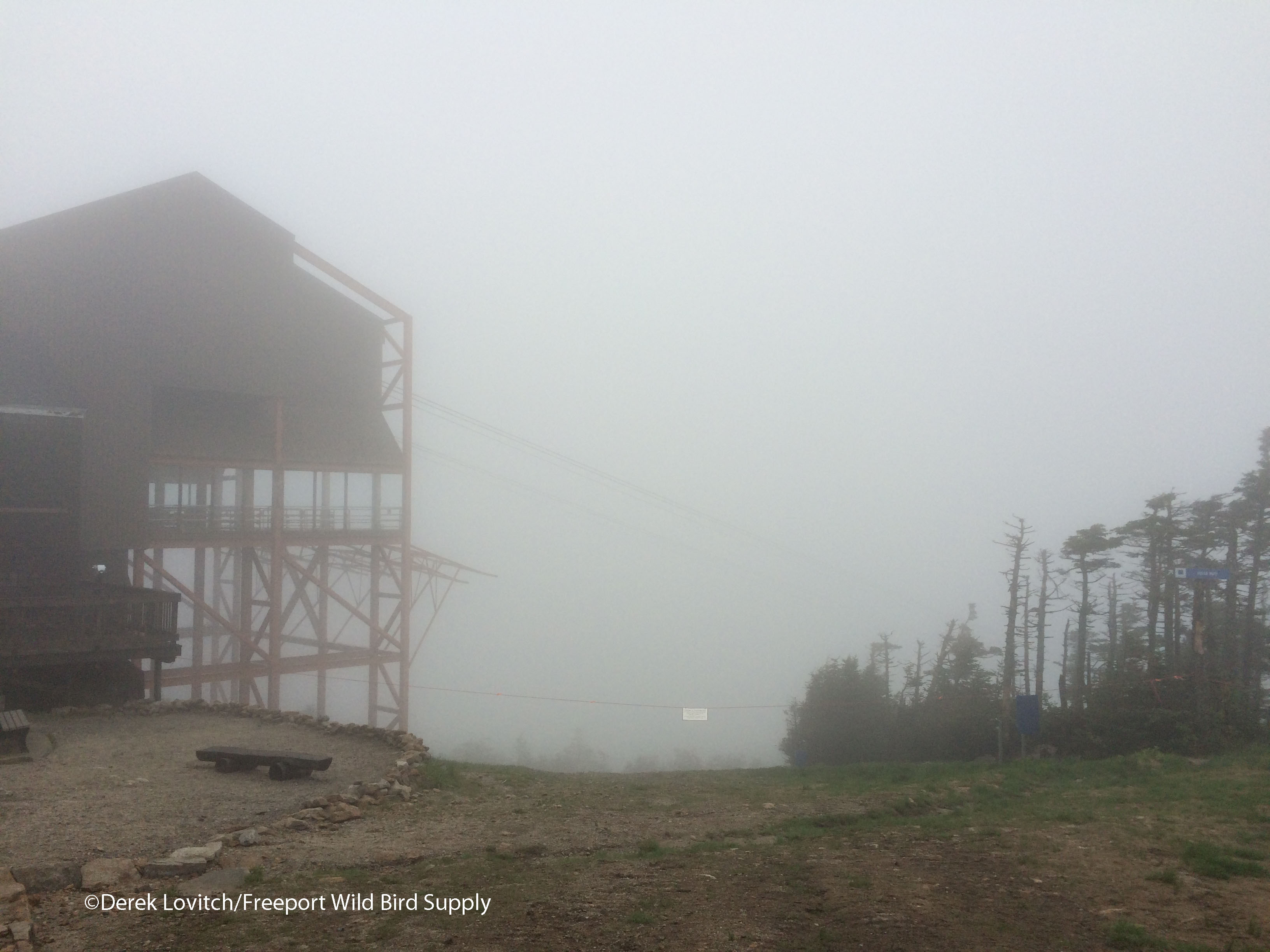 IMG_8388_Cannon_Mtn_summit1_edited-1