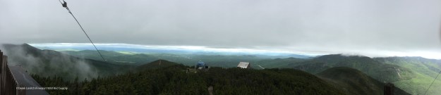 IMG_8405_CannonPanorama2_edited-1