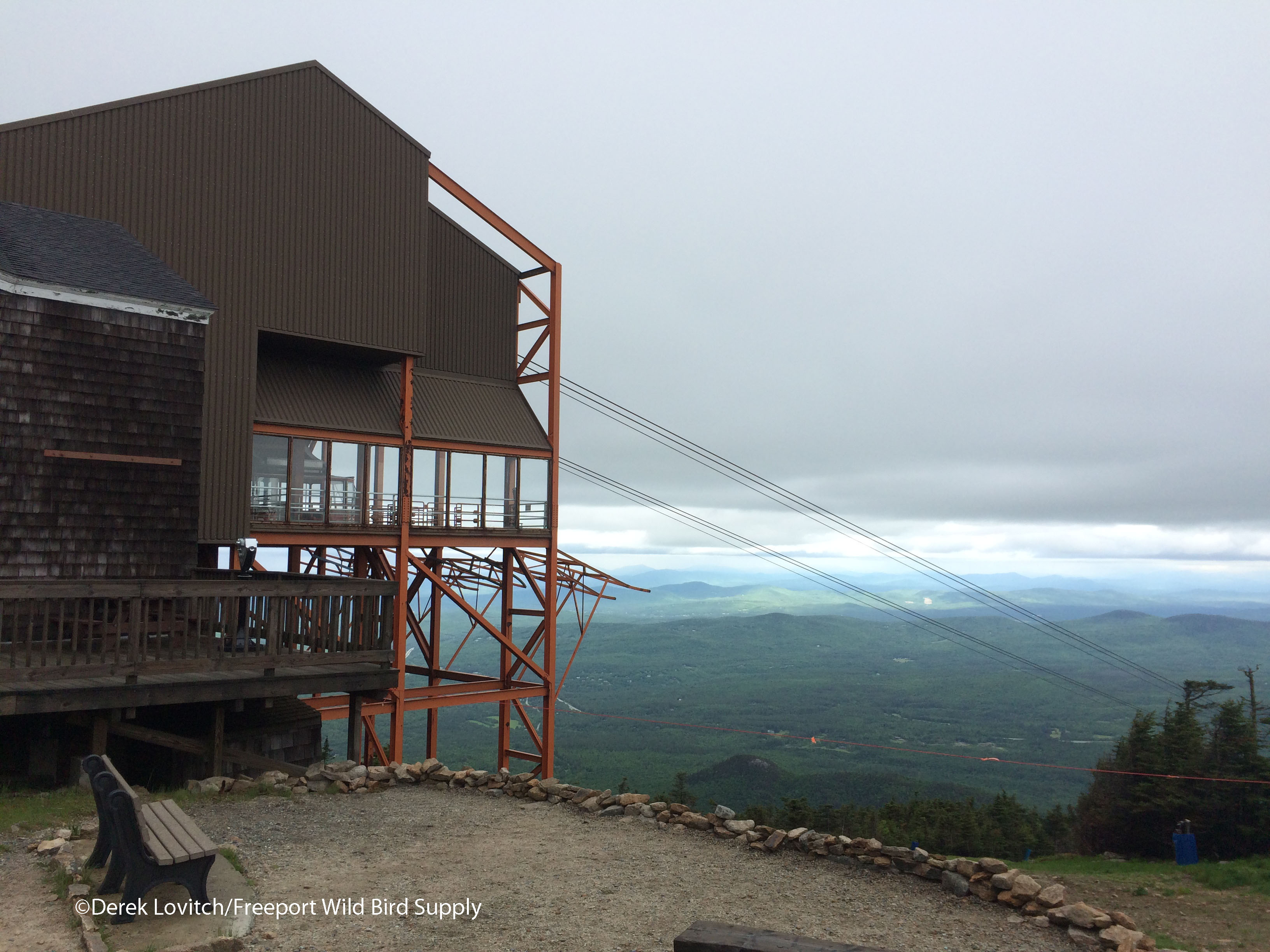 IMG_8409_Cannon_summit1-after_edited-1