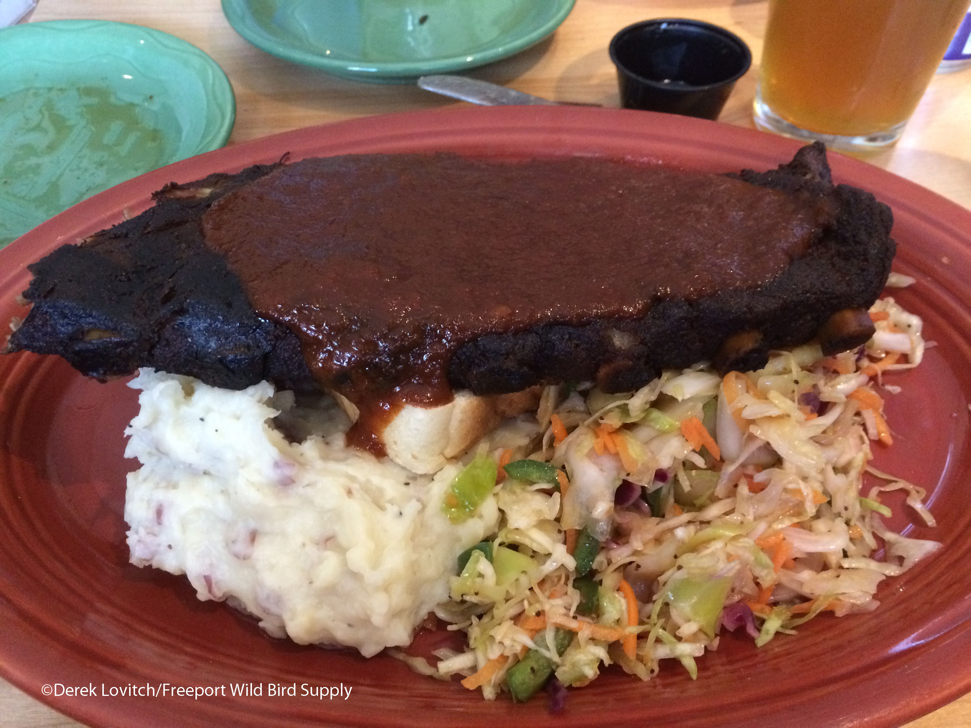 IMG_8410_Moat_Mountain_ribs_edited-1