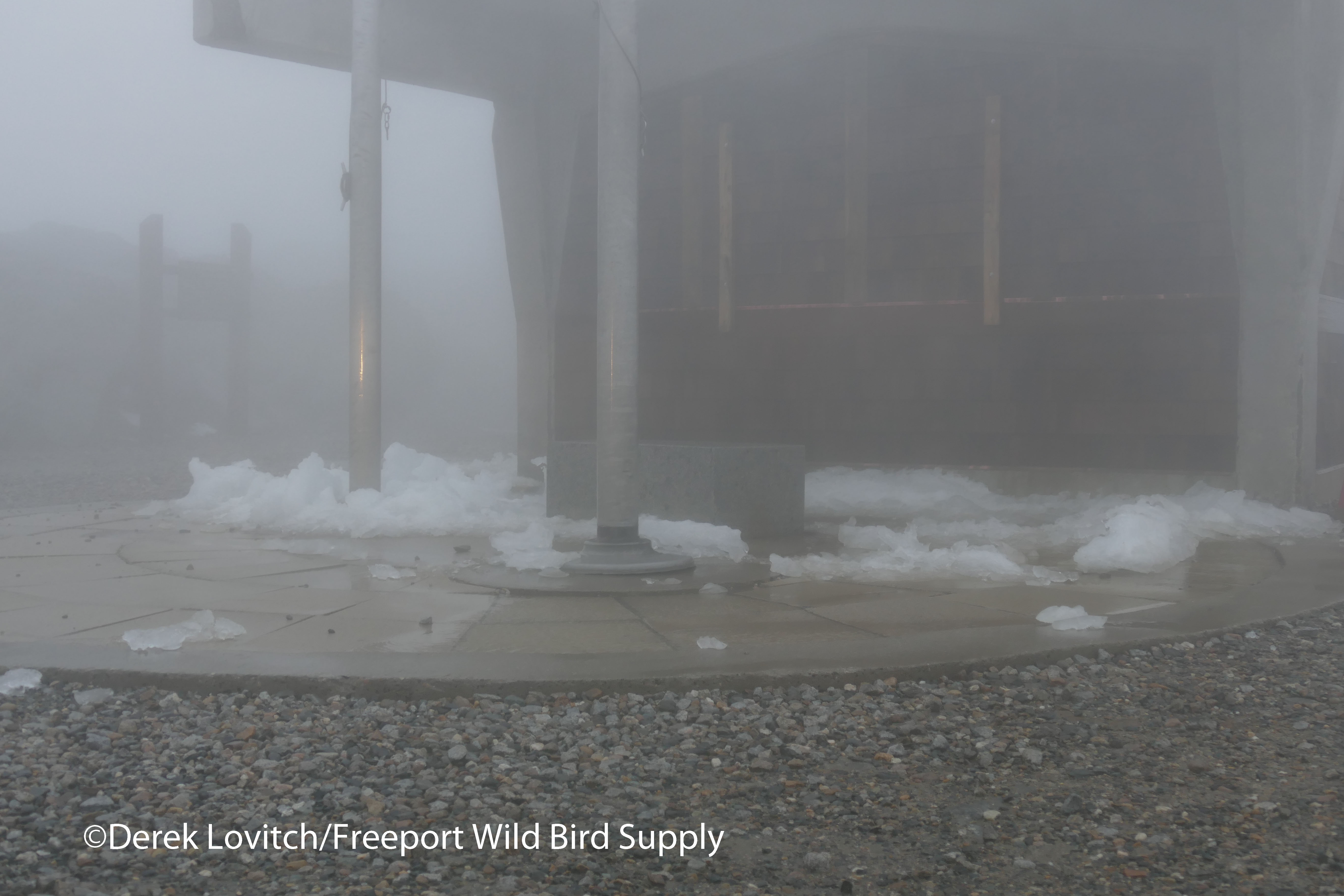 L1050106_Mt_Washington_summit3_edited-1