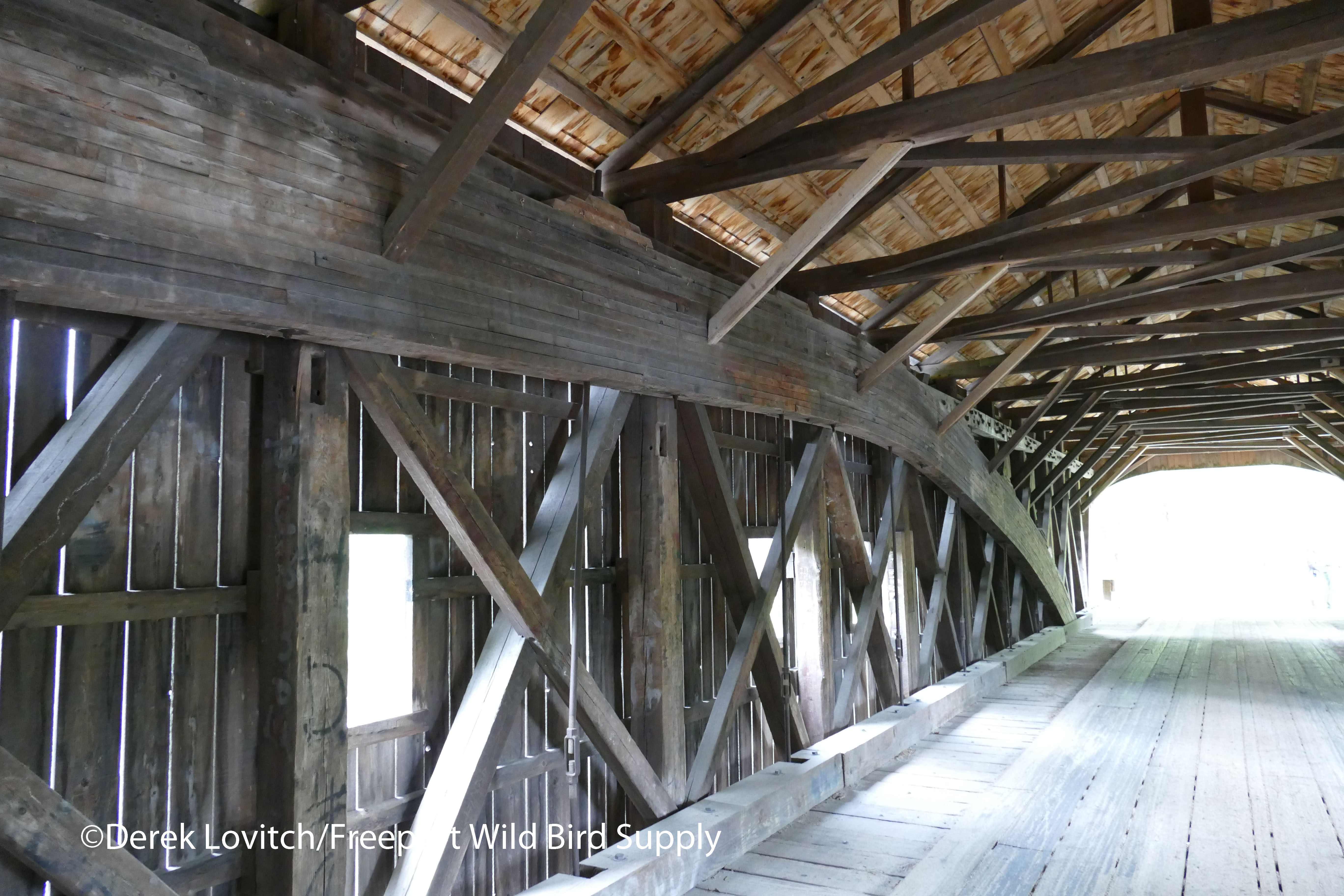 L1050112_HemlockBridge3_edited-1