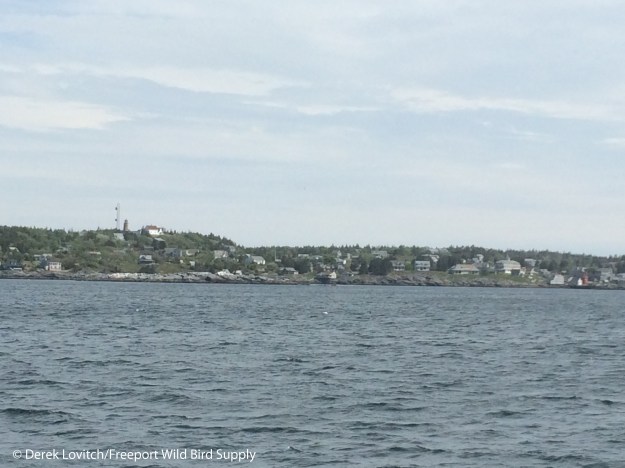 Leaving_island_edited-1