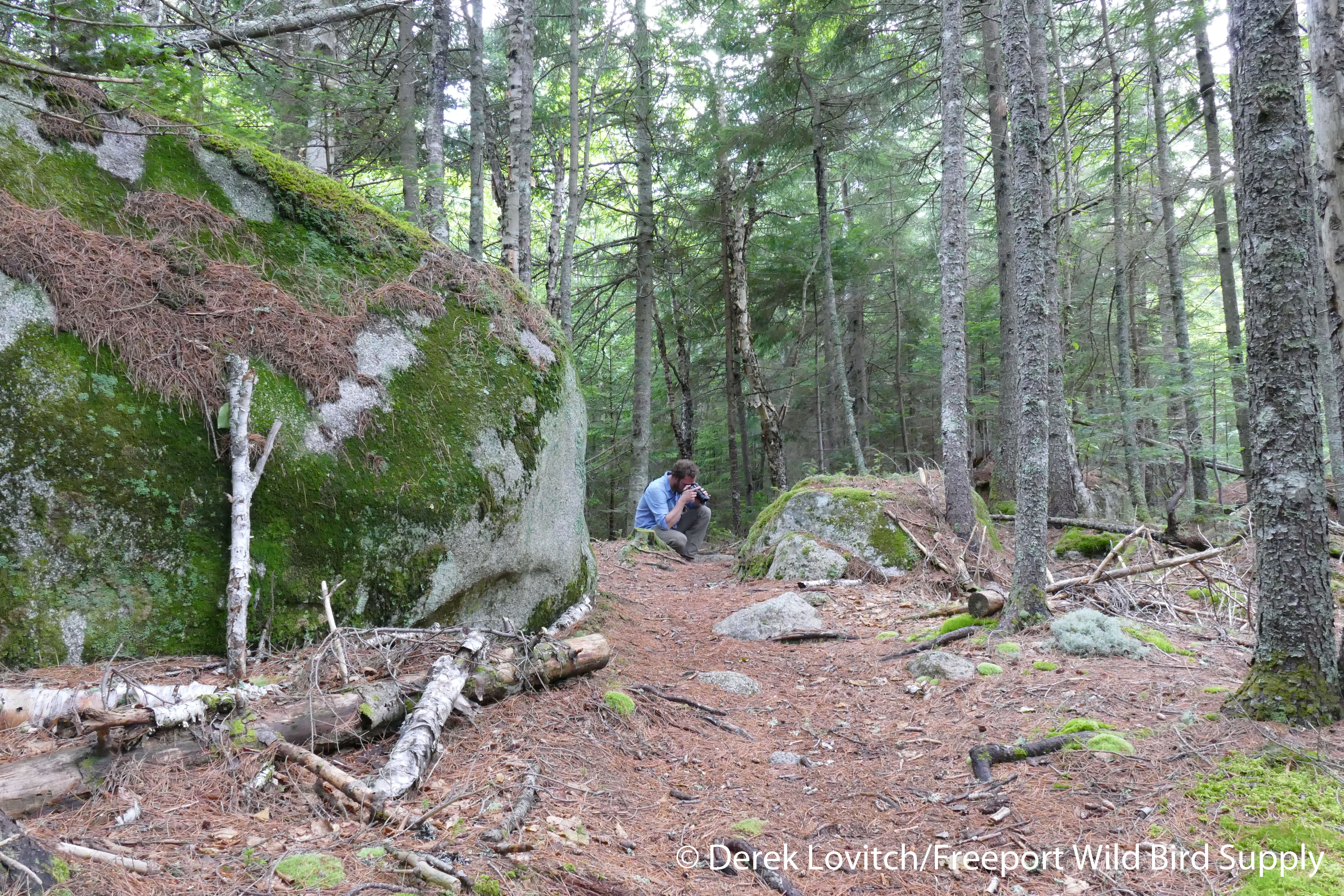 14. why_we_werent_finding_woodpeckers_edited-1