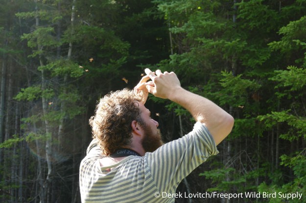 2. Evan_with_DeerFlies_edited-1