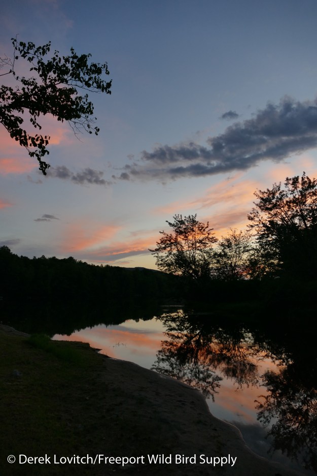 22. sunset1,7-18-16_edited-1