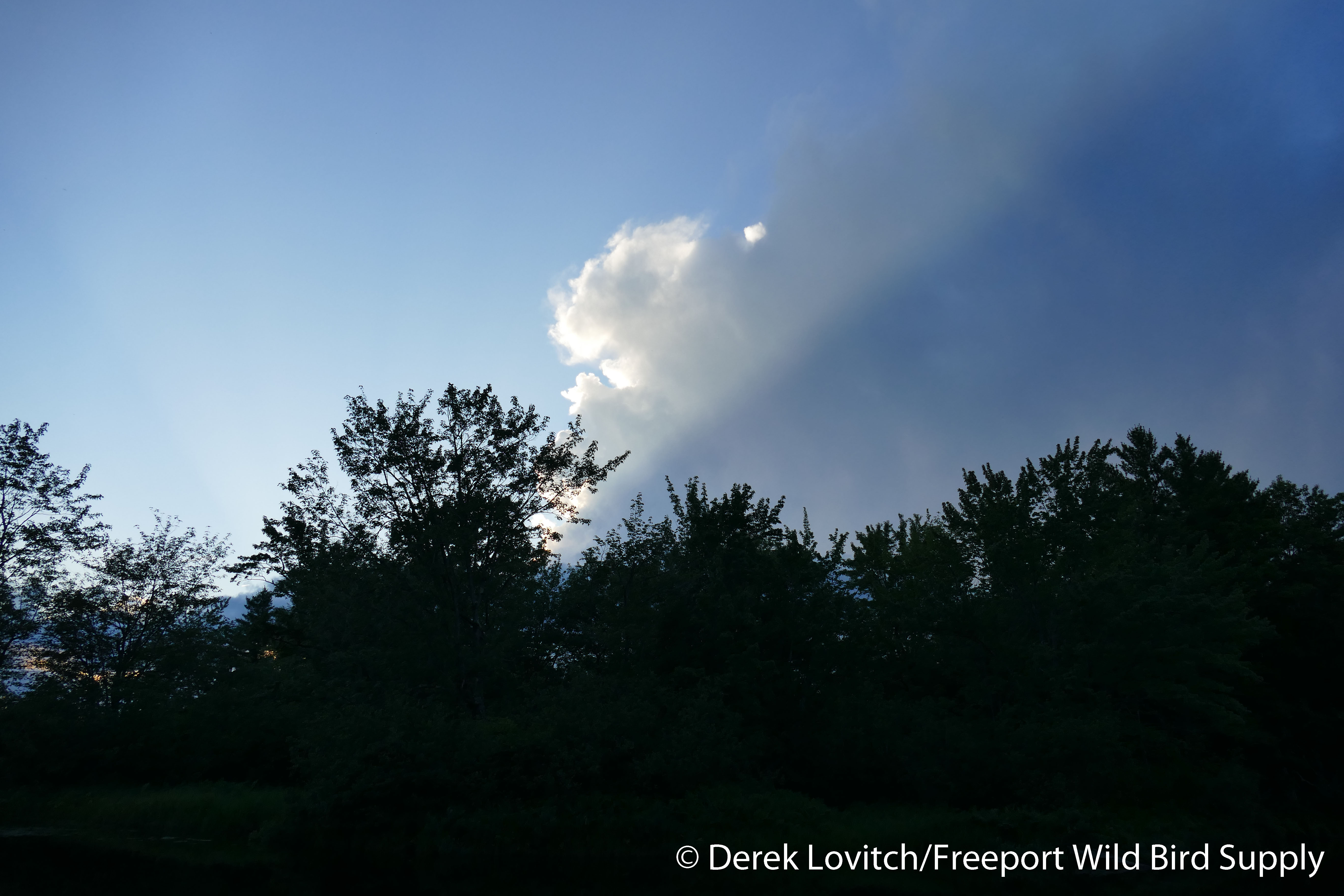 4. approaching thunderstorm,7-17-16_edited-1