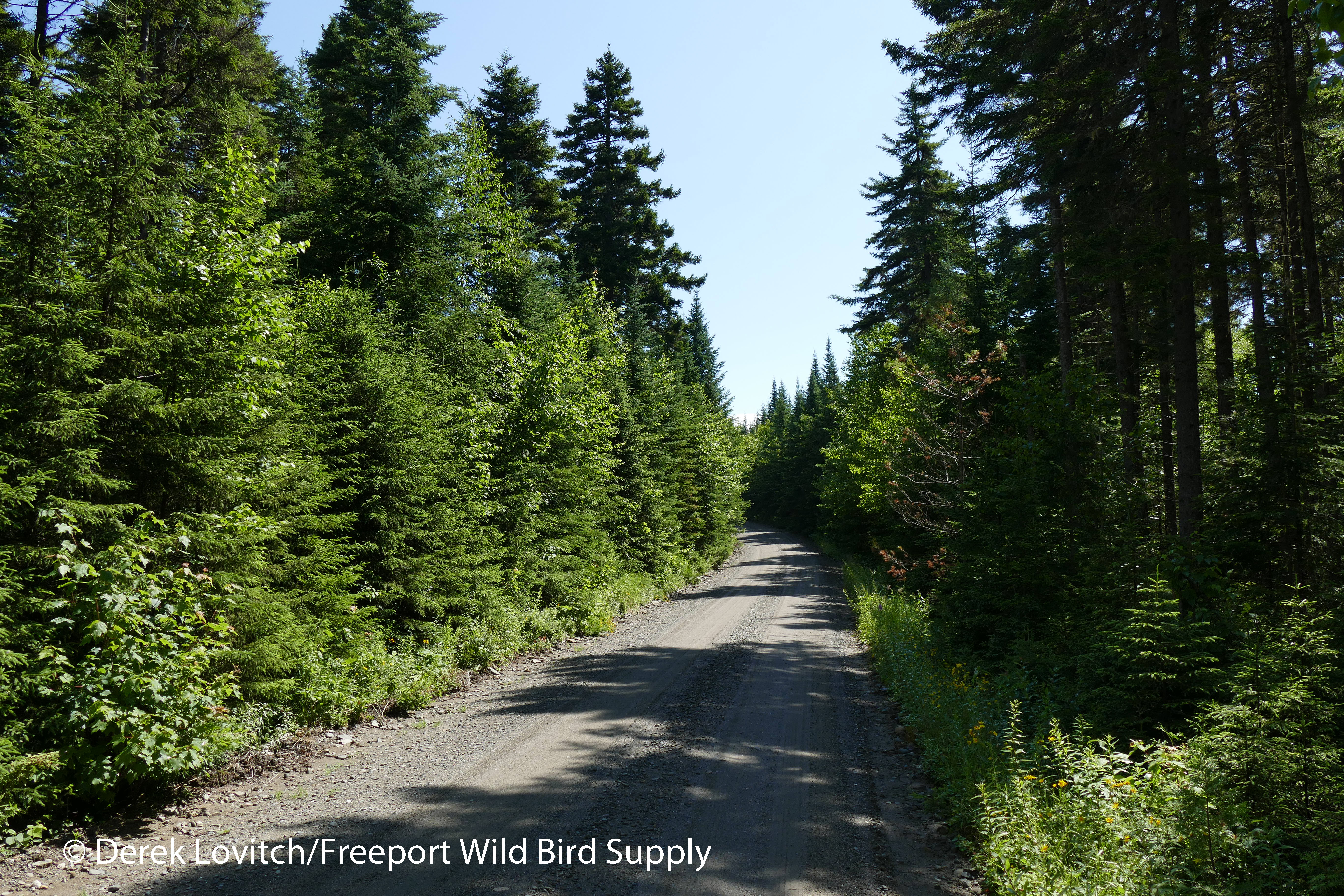 6. ParkToteRoad,7-17-16_edited-1