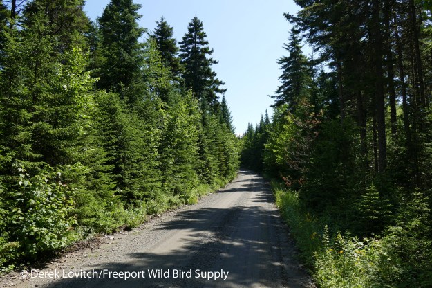 6. ParkToteRoad,7-17-16_edited-1