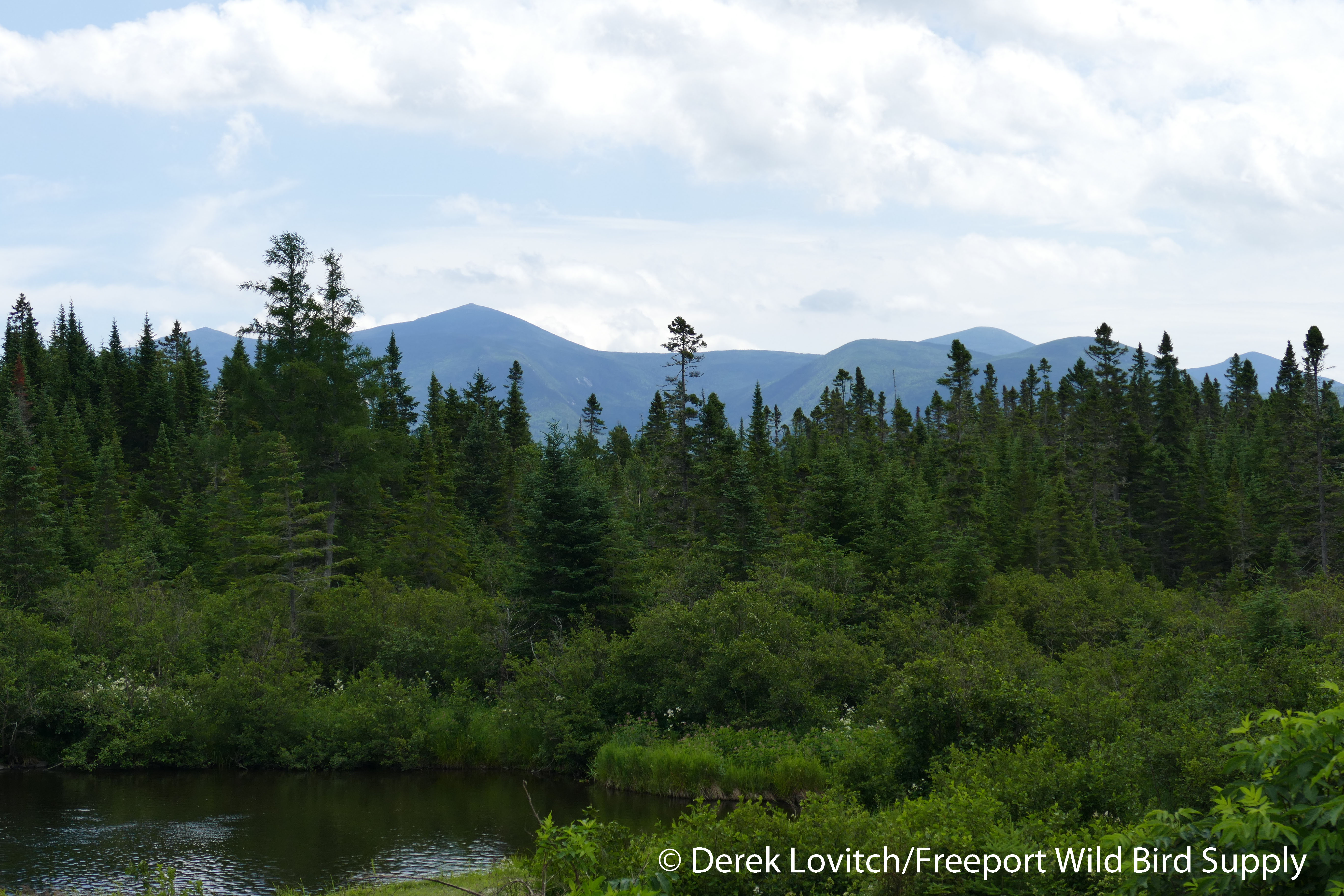8. Kahtadin_from_NesowadnehunkLake,7-17-16_edited-1