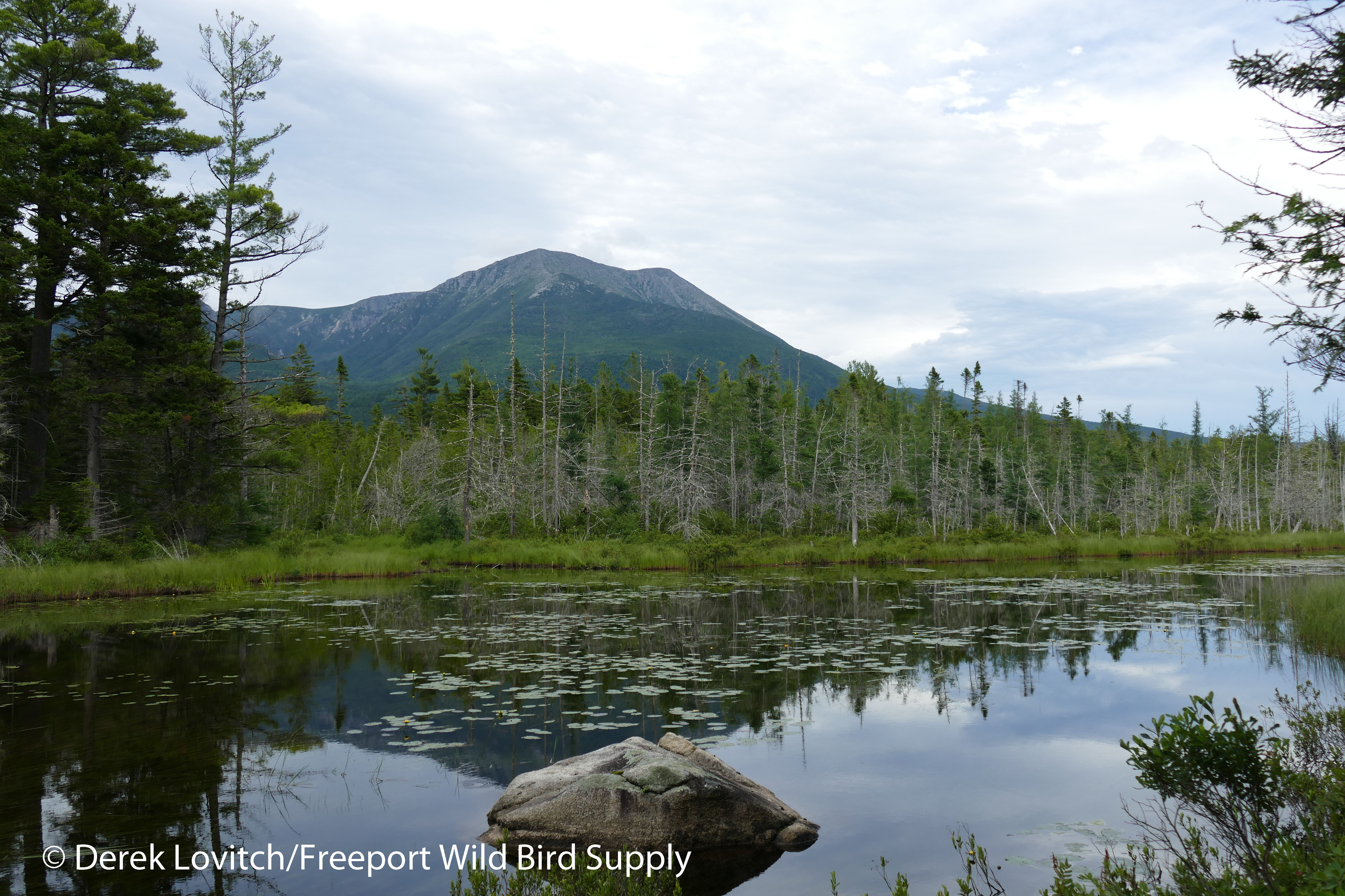 9. Kahtadin_from_Grassy_Pond-edited