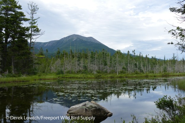 9. Kahtadin_from_Grassy_Pond-edited