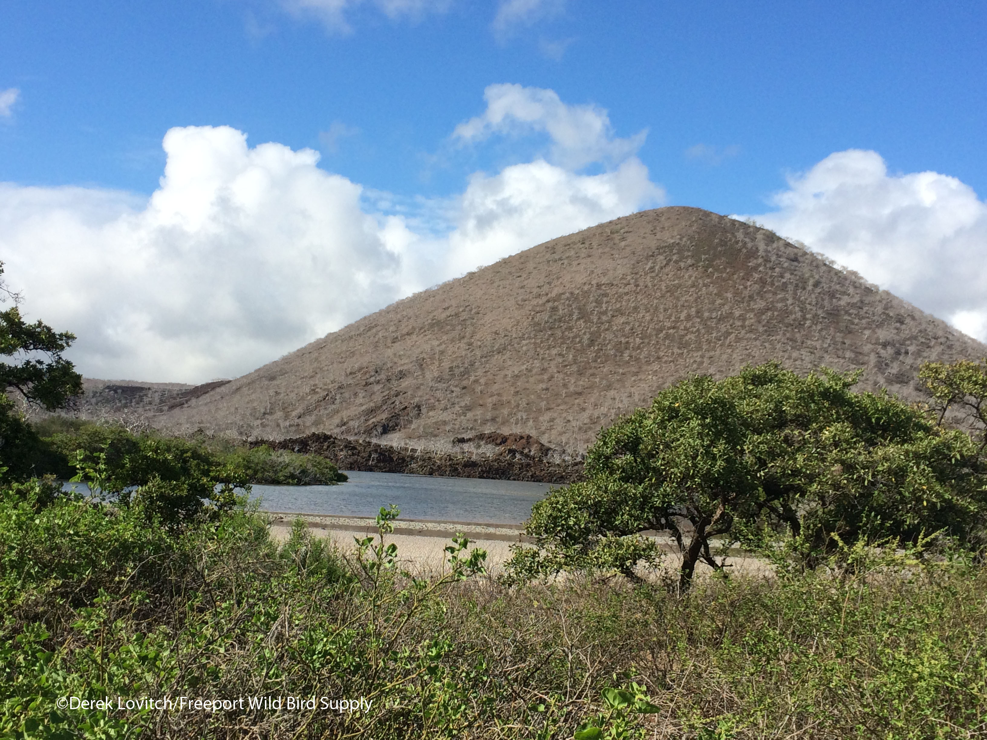 CormorantPoint,Floreana