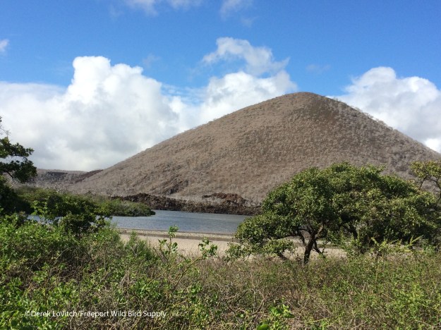 CormorantPoint,Floreana