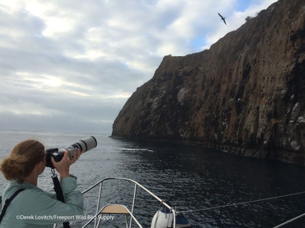 Gardner-by-Floreana2