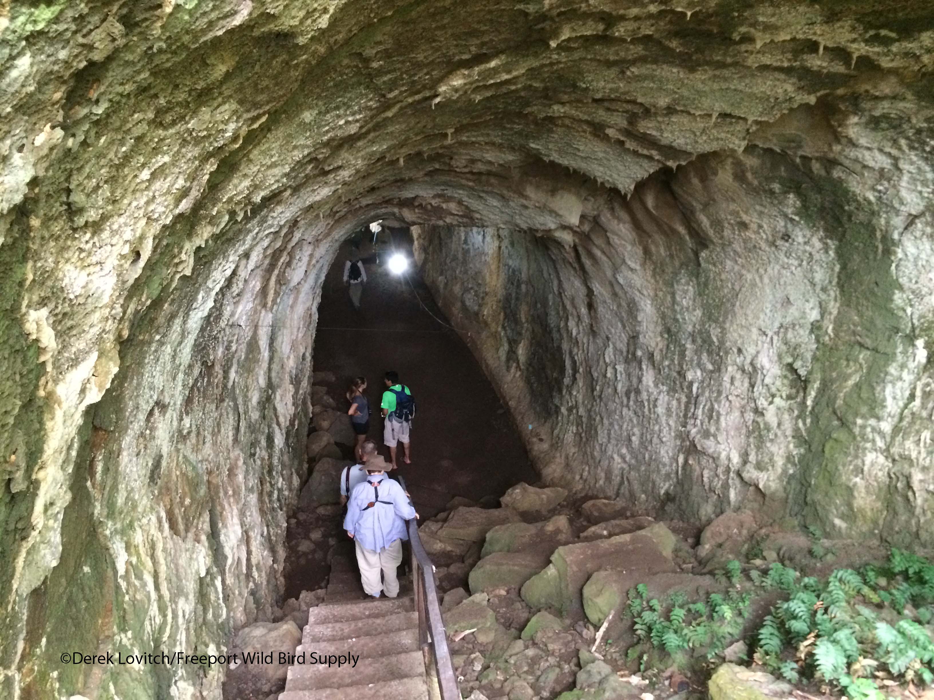 lava_tube