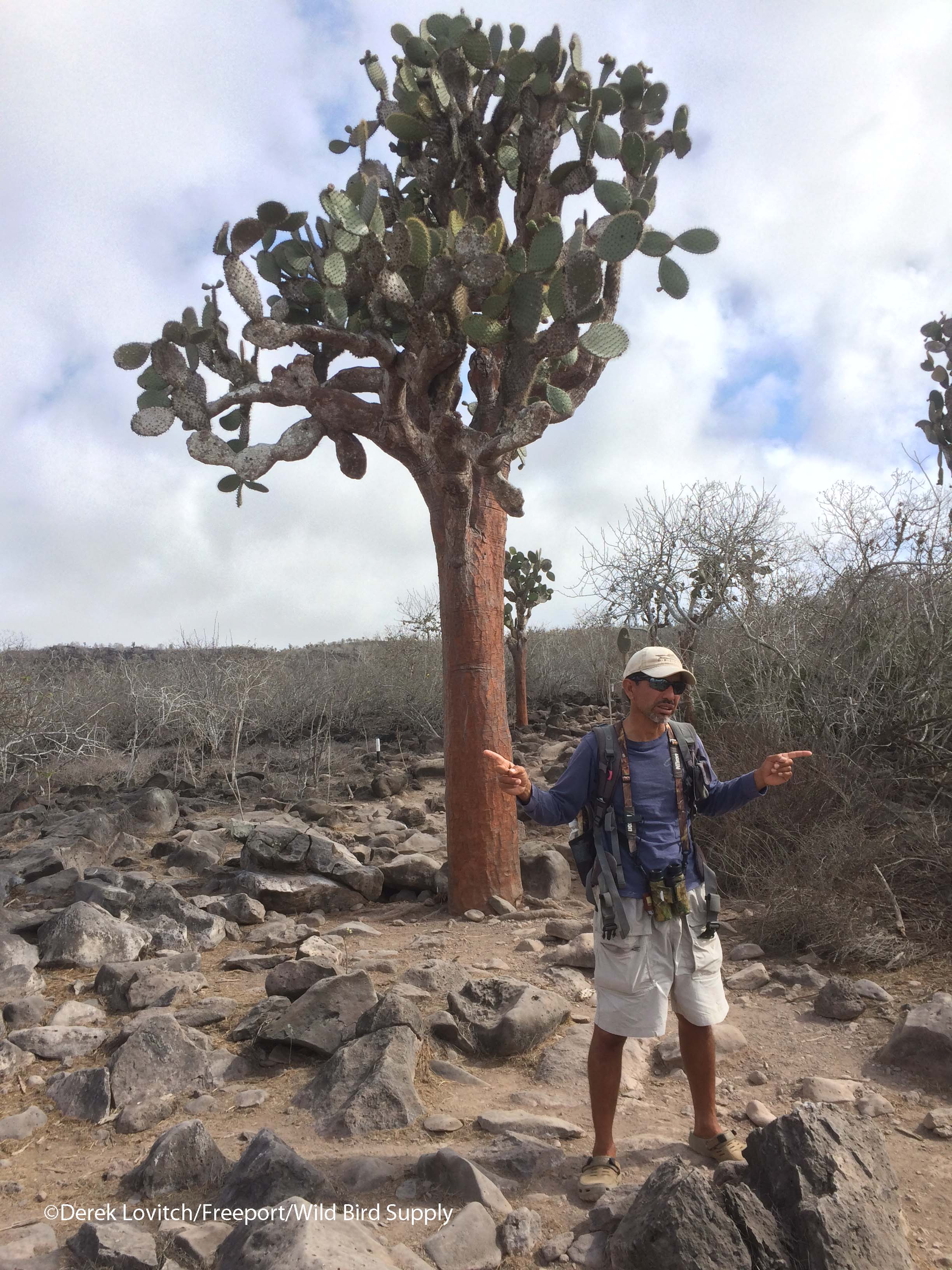 Peter_and_prickly_pear_tree
