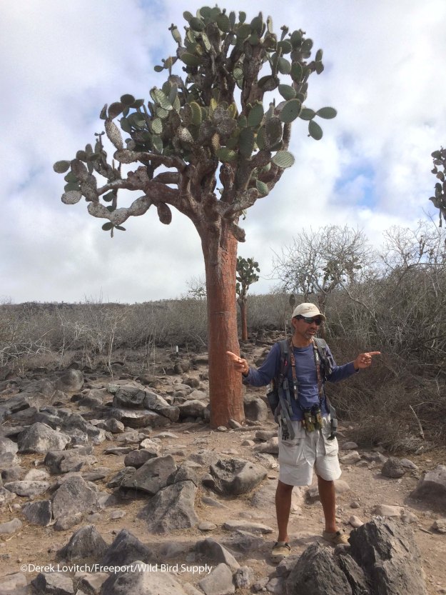 Peter_and_prickly_pear_tree