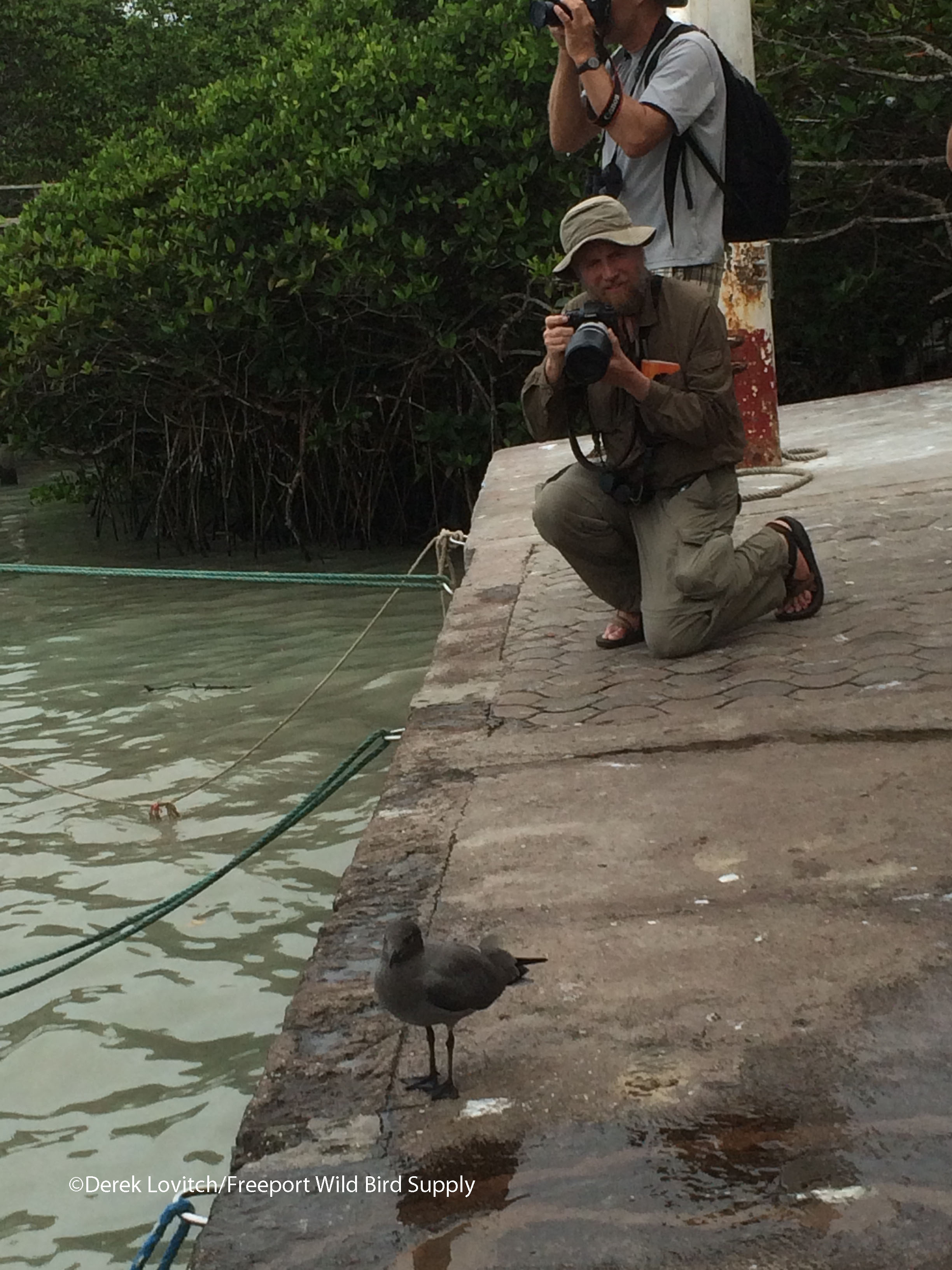 Photographing_LavaGulls,Steve