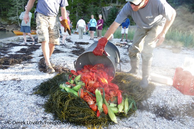 15. Lobster Bake 3_edited-1
