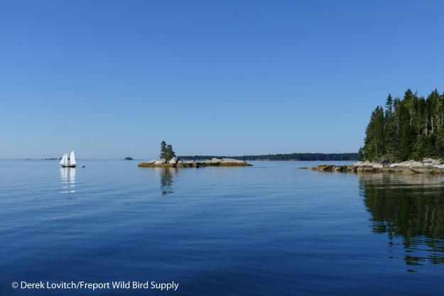 19. Babson Island am_edited-1